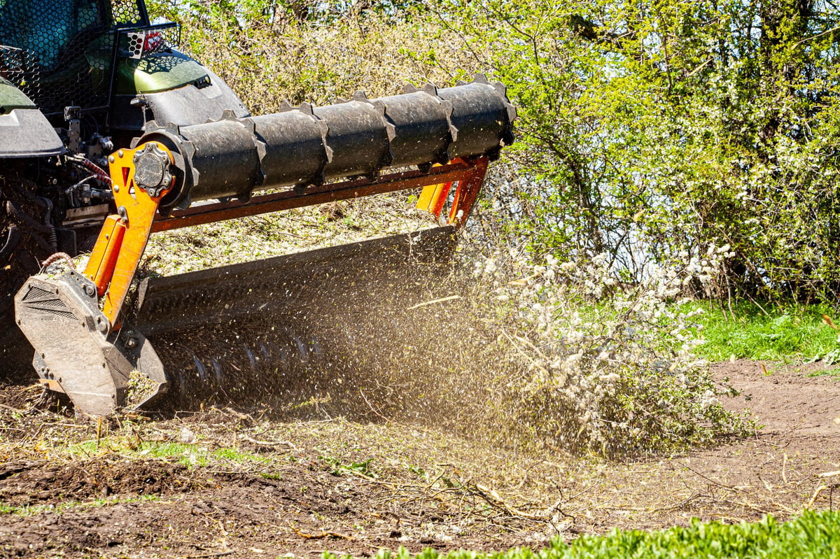 Forestry mulching cutter head