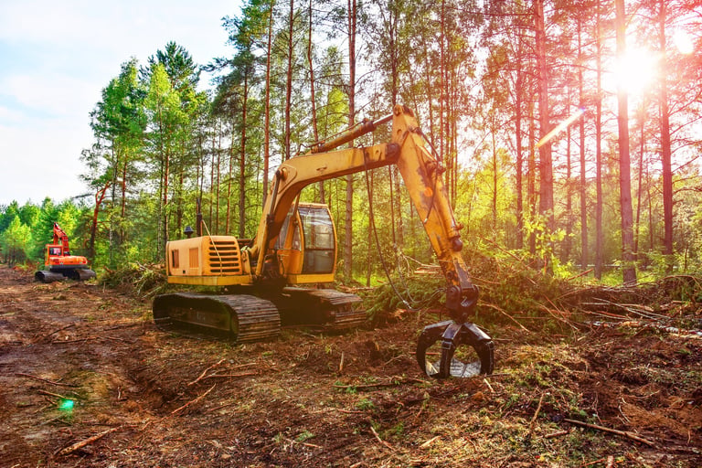 Excavator clearing forest