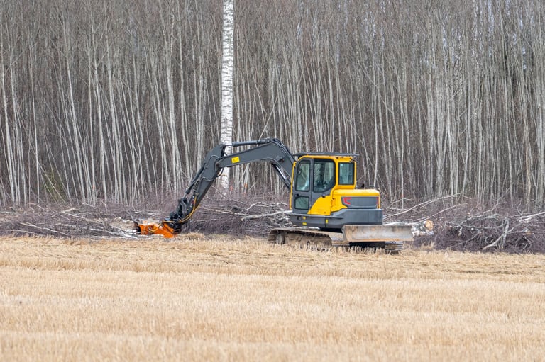 Land clearing project